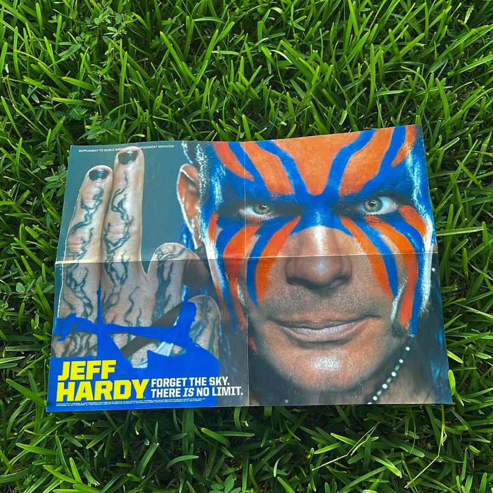 WWE Jeff Hardy Wall Decor - Blue and Orange